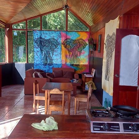 Отель Finca Pantera Монте-Верде Экстерьер фото