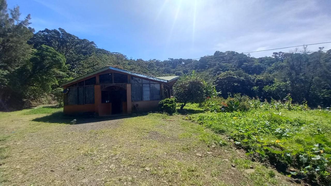 Отель Finca Pantera Монте-Верде Экстерьер фото