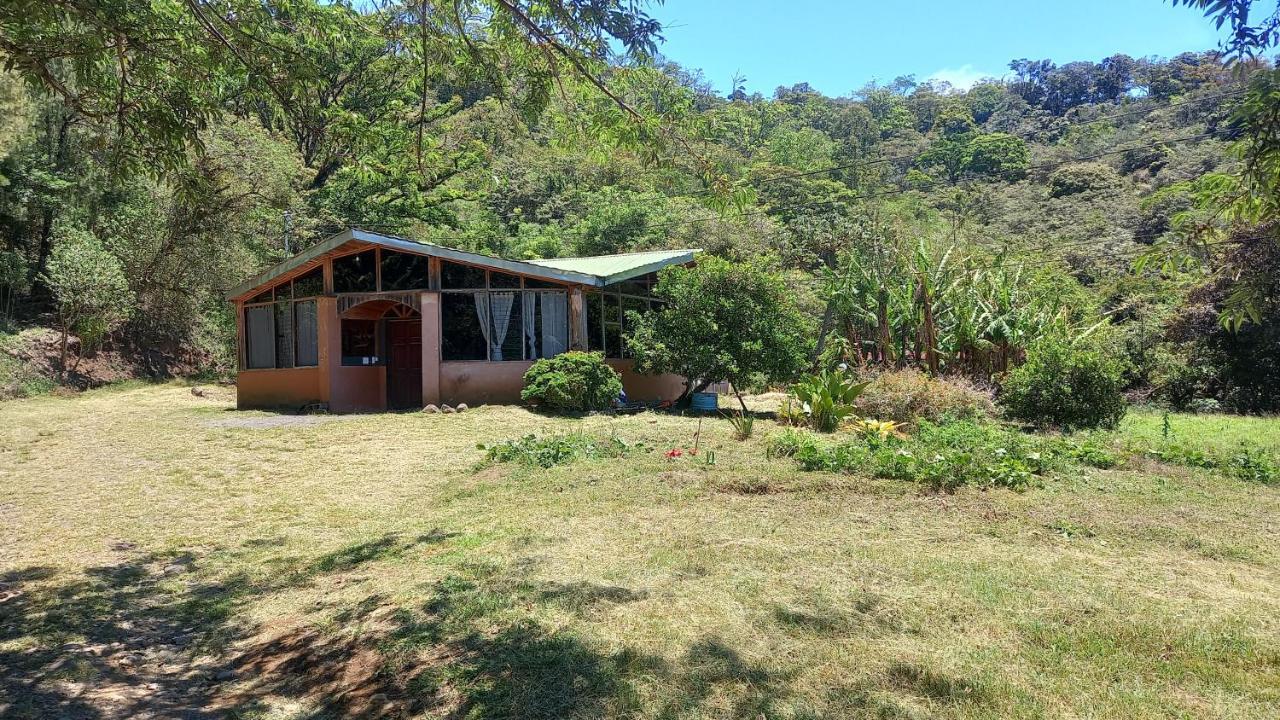 Отель Finca Pantera Монте-Верде Экстерьер фото